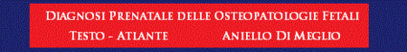 Libro “Diagnosi Prenatale delle Osteopatologie Fetali”